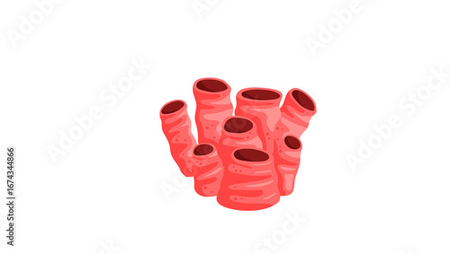 PNG Cartoon underwater sea landscape constructor with fishes and ocean animals, vector undersea world. Underwater coral reef characters of octopus with turtle,