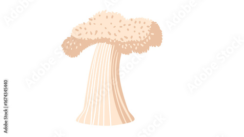 PNG Cartoon underwater sea landscape constructor with fishes and ocean animals, vector undersea world. Underwater coral reef characters of octopus with turtle,