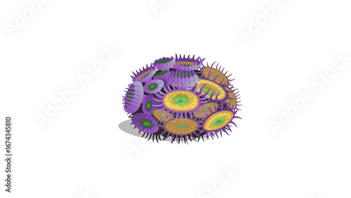 PNG Cartoon underwater sea landscape constructor with fishes and ocean animals, vector undersea world. Underwater coral reef characters of octopus with turtle,