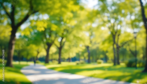 A beautiful green public park with a footpath lined with trees creates a peaceful and serene atmosphere