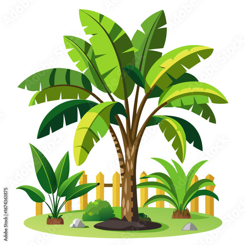 Lush tropical banana tree and vibrant green foliage create a serene garden oasis with a charming wooden fence accentuating natural beauty and outdoor tranquility for a peaceful, idyllic setting.
