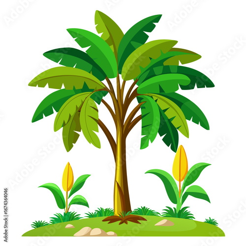 Vibrant green banana tree with lush leaves and two budding banana plants on a grassy terrain, perfect for tropical themes and nature designs