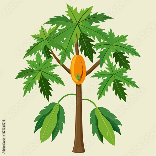 Vibrant papaya tree showcasing a ripe orange fruit amidst lush green palm-like leaves, perfect for tropical themes and healthy eating campaigns.