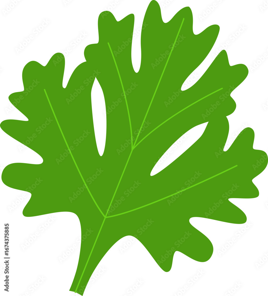 Fototapeta premium Papaya Fruit Leaves 