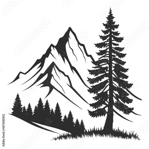 Silhouette of a majestic mountain range with pine trees and grassy foreground in black and white