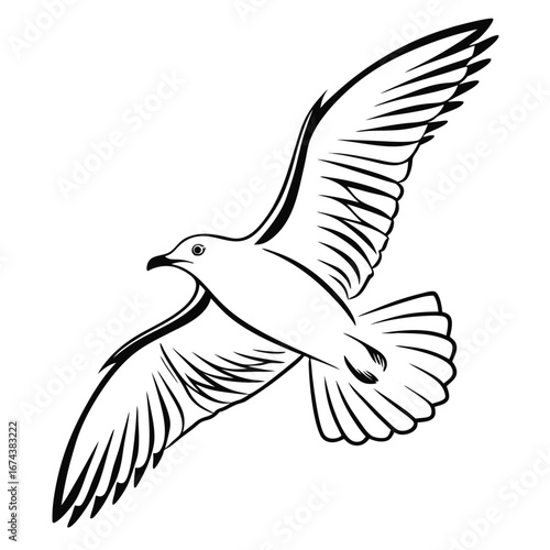 Stylized black and white line art drawing of a seagull in flight with wings spread wide