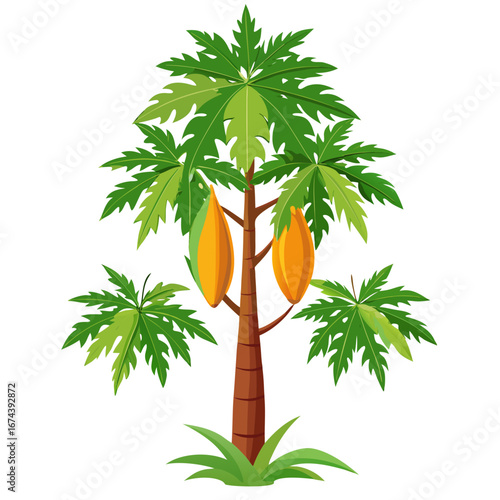Vibrant papaya tree laden with ripening golden fruit, showcasing lush green foliage and tropical essence, perfect for health and wellness themes.