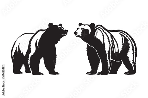 Two grizzly bears facing each other in silhouette