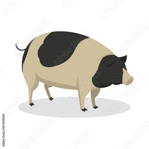 Simple Color Animal Vector Illustration Design