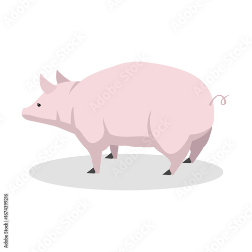 Simple Color Animal Vector Illustration Design