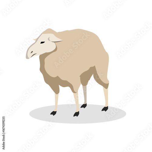 Simple Color Animal Vector Illustration Design