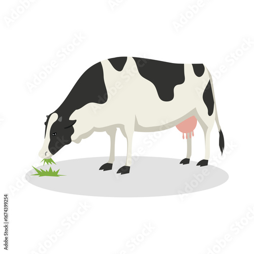 Simple Color Animal Vector Illustration Design