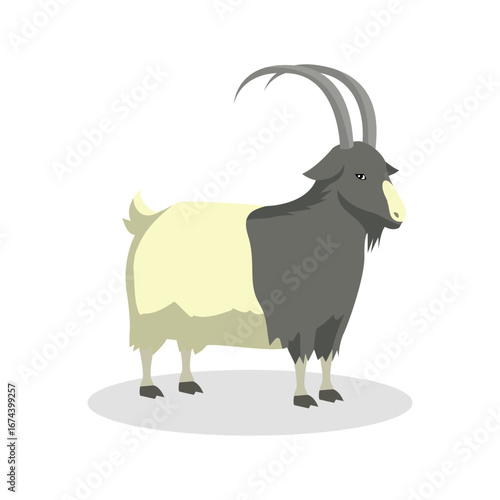 Simple Color Animal Vector Illustration Design