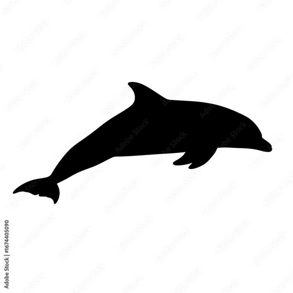 Fototapeta premium Silhouette of a dolphin isolated on transparent background