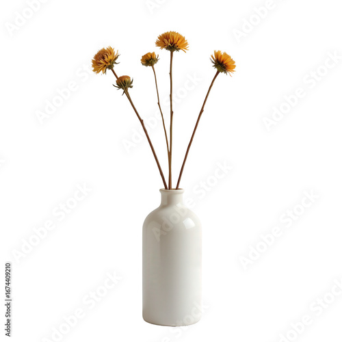 Wallpaper Mural Simple White Vase with Dried Flowers on a Transparent background Torontodigital.ca