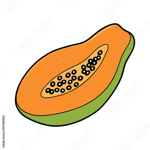  papaya with seeds hand drawn sketch on a white background