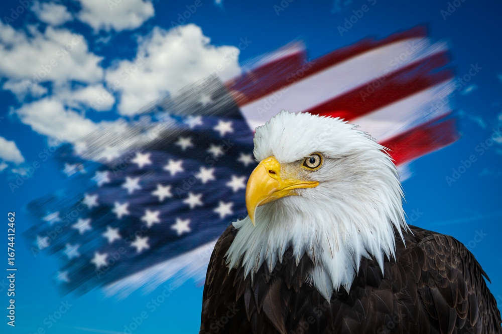 Obraz premium Proud bald eagle symbolizing American freedom and patriotism with a waving flag in the background.Suitable for concepts as Memorial, Independence, Veterans, Flag or Armed Forces Day.