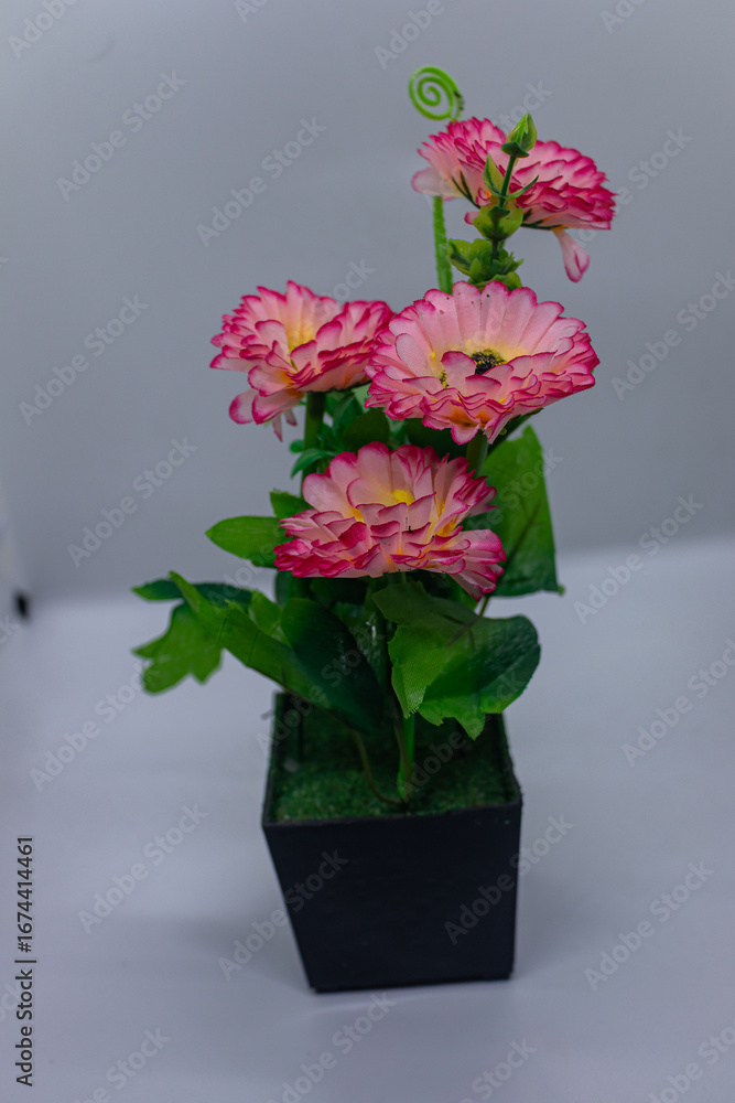 Fototapeta premium Indoor Decorative Artificial Pink Daisy Plant for Home Decor.
