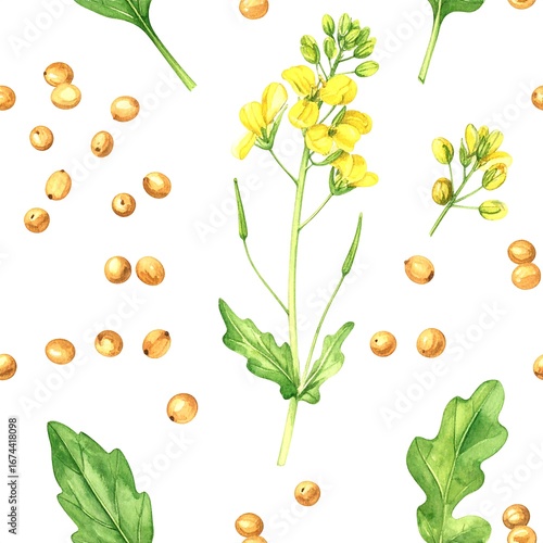 Watercolor mustard plant and seed pattern