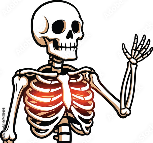 Cartoon skeleton waving hello with visible rib cage on a white background design