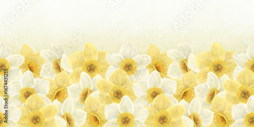 Seamless flower border of yellow, white daffodils on a gradient background with a yellow tint. Handmade digital illustration, watercolor, pastel.