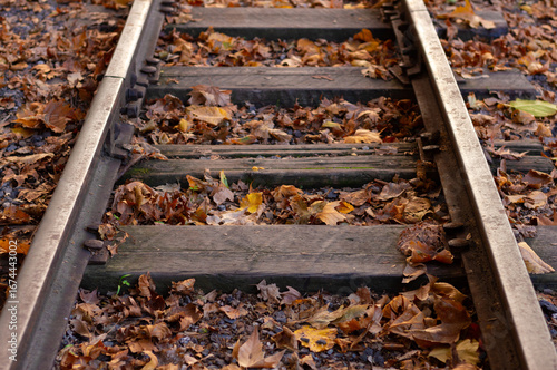 Old railway tracks covered with dry autumn leaves