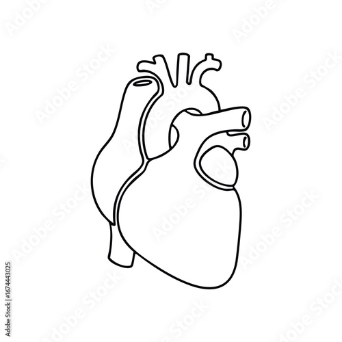 Simple line art human heart anatomy diagram medical symbol healthcare cardiovascular