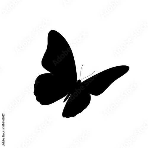 Wallpaper Mural Silhouette of a butterfly with wings isolated on transparent background Torontodigital.ca