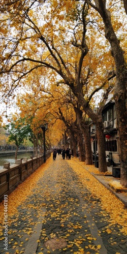 autumn in Nanjing