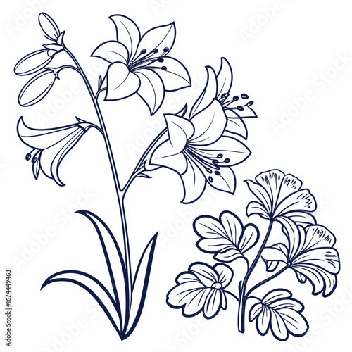  coral bells azalea vector