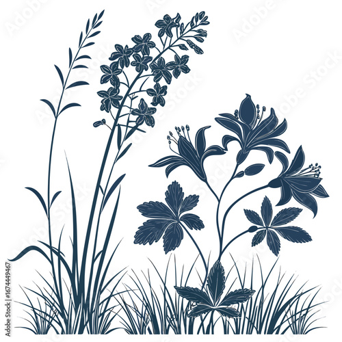  coral bells azalea on white background 