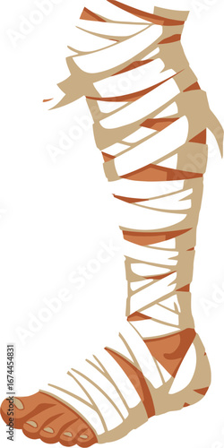 Illustration of a mummified leg wrapped in bandages against a white backdrop