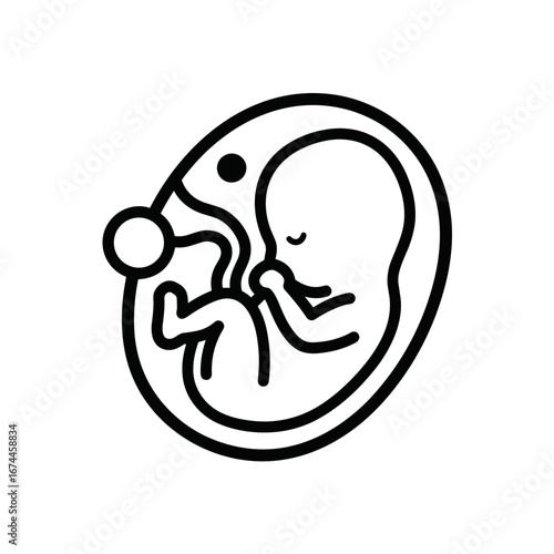 Embryo in a womb outline showing development in early pregnancy  