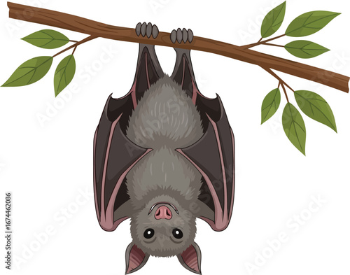 Cute cartoon bat hangs upside down from a branch with green leaves on white