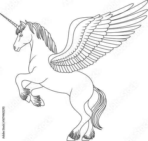 Unicorn with wings drawing, fantasy creature illustration, magical horse sketch, mythical animal art, fairy tale unicorn design, flying horse image
