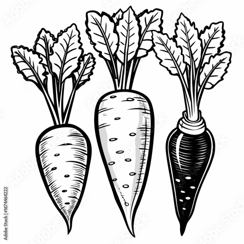 bunch of fresh carrots