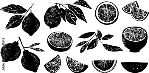 Rustic linocut citrus composition featuring whole and sliced fruits for creative designs