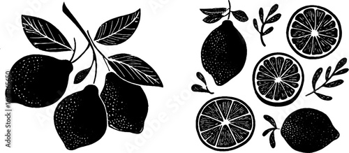 Linocut citrus composition of whole fruits and slices for boho design and print