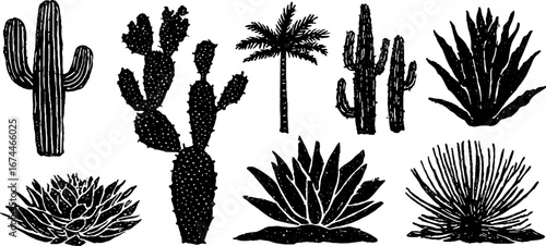 Linocut desert plants collection featuring cactus, palm trees, and agave for artistic designs
