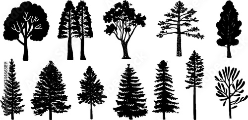 Linocut woodland trees collection featuring oak, birch, pine, fir, and maple silhouettes for nature design