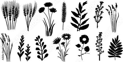 Rustic botanical linocut collection featuring grains and herbs for decorative design