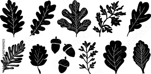Linocut oak leaves and acorns collection - nature inspired design for decor and crafts