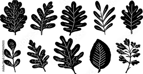Linocut oak leaves collection with lobed and rounded designs for artistic projects