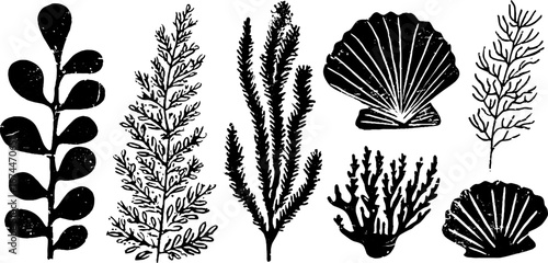 Linocut sea plants collection with coral, seaweed, and kelp silhouettes for vintage design