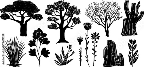 Linocut set of steppe and woodland plants acacia and baobab trees for nature-inspired designs