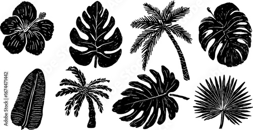 Tropical plants linocut collection featuring hibiscus and palm leaves for creative designs