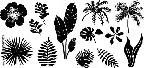 Tropical plants collection in linocut style with hibiscus and frangipani - botanical design for posters and cards