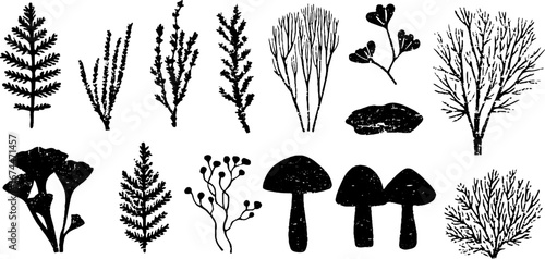 Tundra flora silhouette collection: moss, lichen, and dwarf birch for nature design