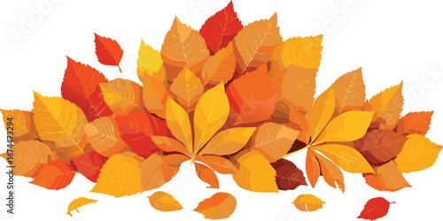 Fallen Autumn Leaves Covering the Ground