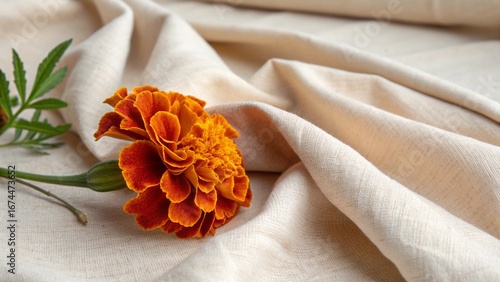 orange flower on the table